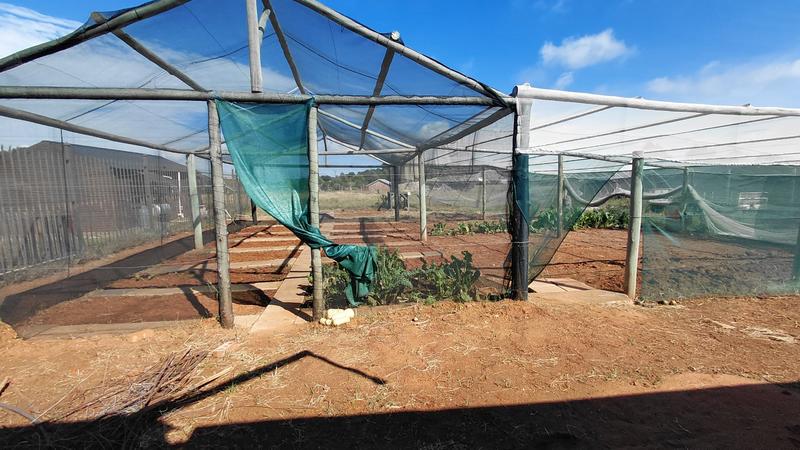 6 Bedroom Property for Sale in Ferreira Free State